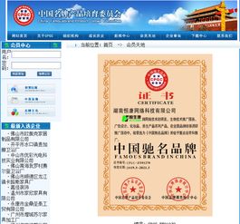 以品牌之光，照亮技術(shù)推廣之路——中國(guó)馳名品牌技術(shù)推廣服務(wù)戰(zhàn)略解析